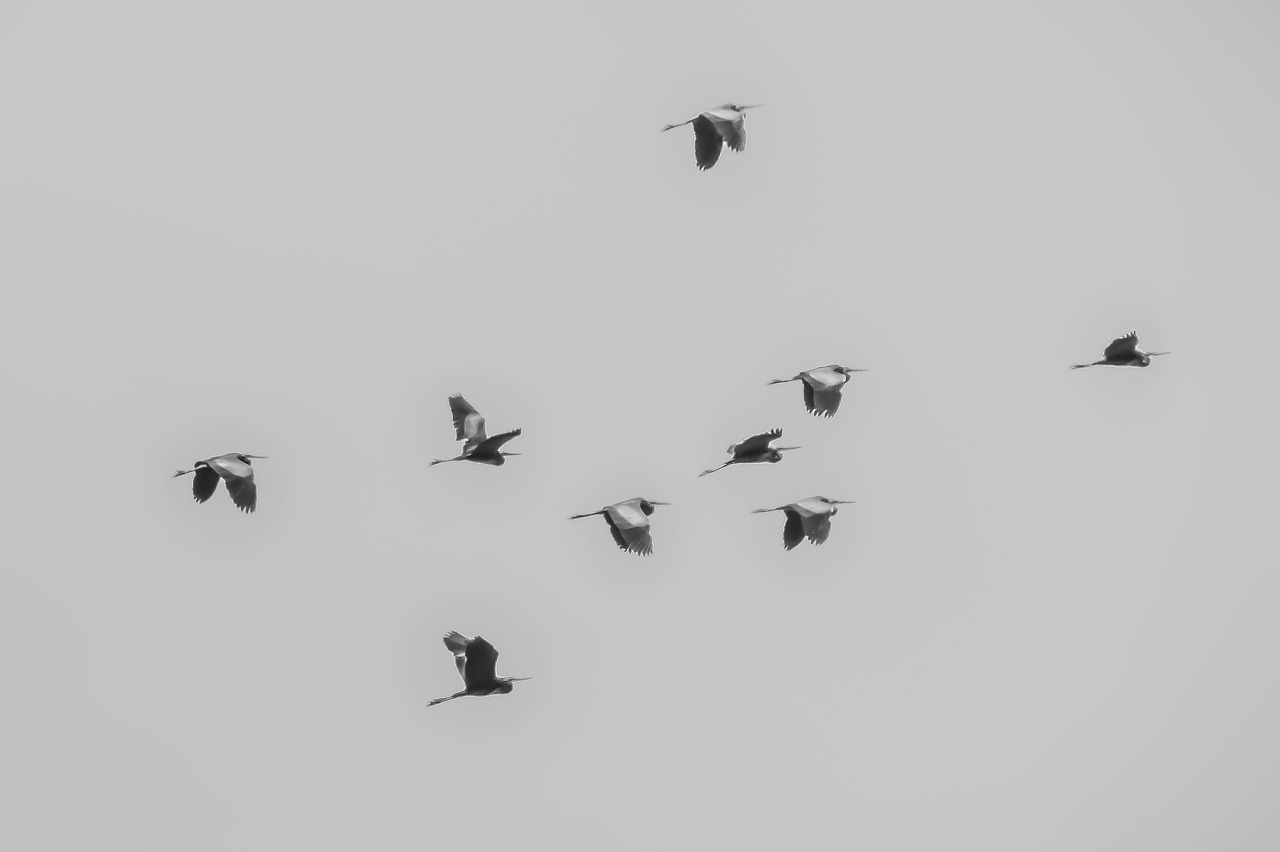 Understanding Wallet Migration - When and Why to Switch